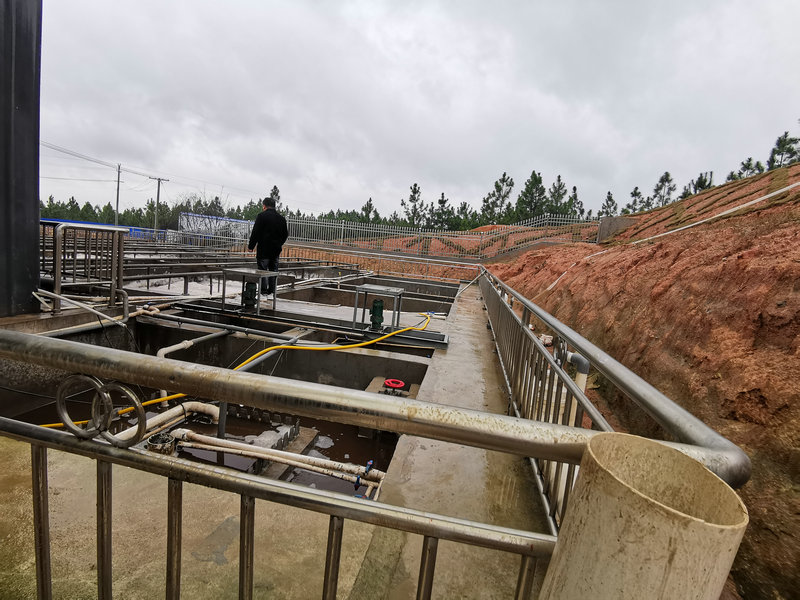 岳陽縣日處理100噸項目